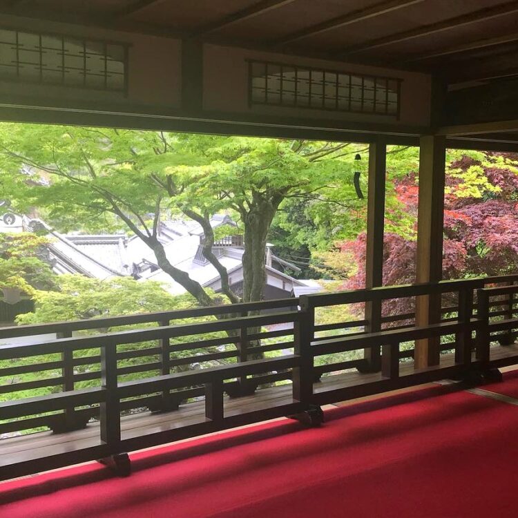 京都 眼の観音様 ～柳谷観音 立願山楊谷寺～